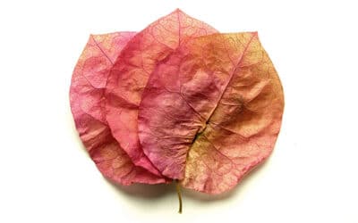 AS THE SEASONS CHANGE, SO DOES YOUR SKIN!