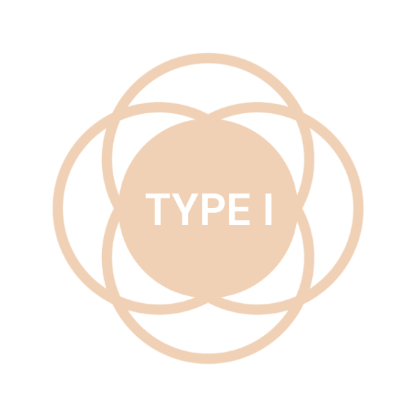 skin type 1 skin type 1