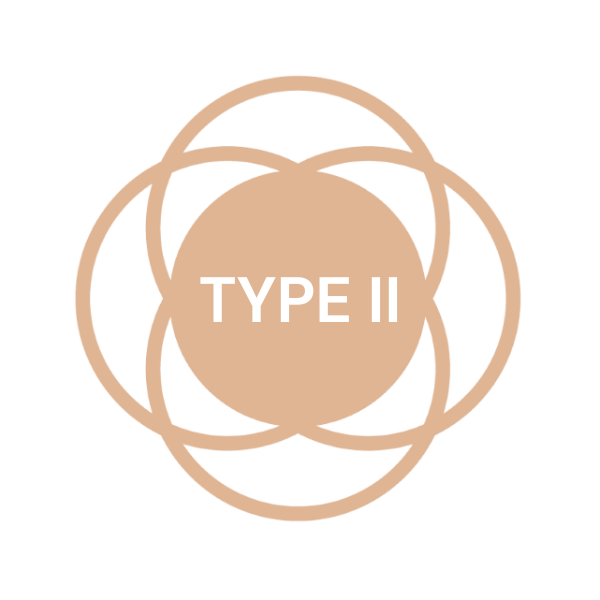 skin type 2 skin type 2