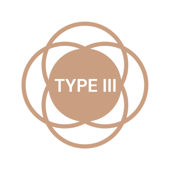 skin type 3 skin type 3