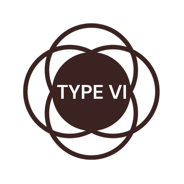 skin type 6 skin type 6